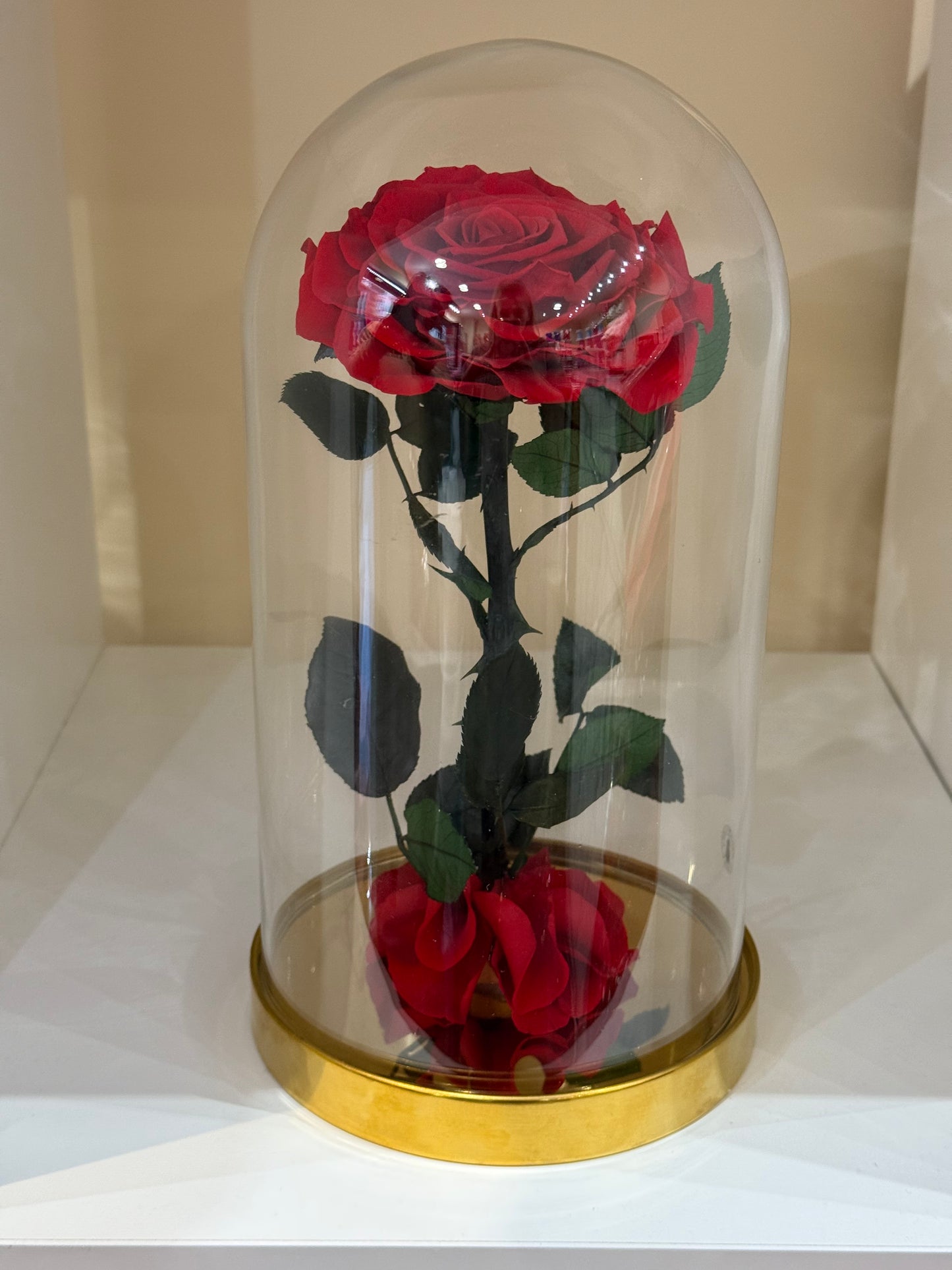 Rose Éternelle Rouge sous Cloche – Cadeau Romantique à Paris