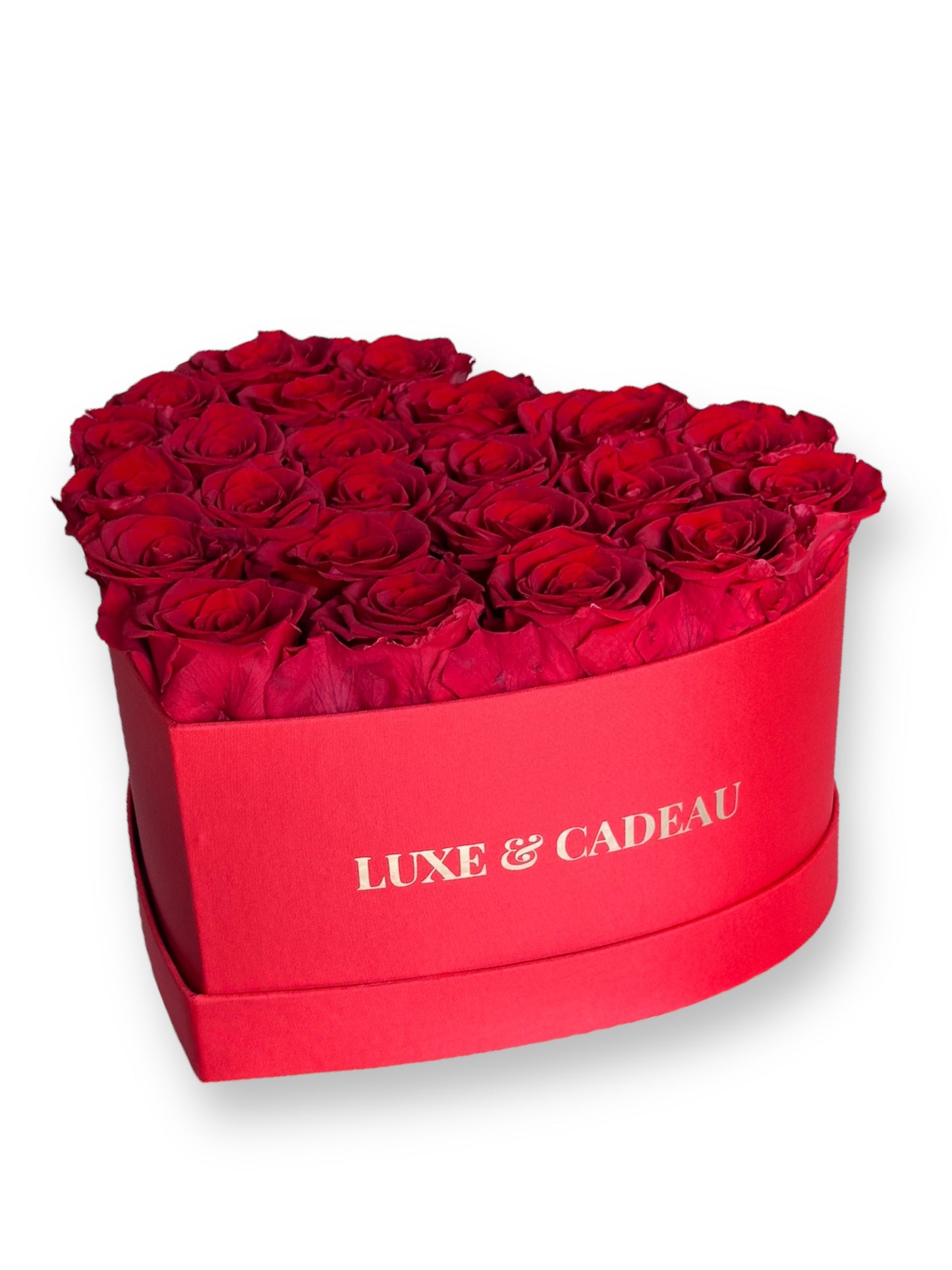 Cœur de roses éternelles stabilisé