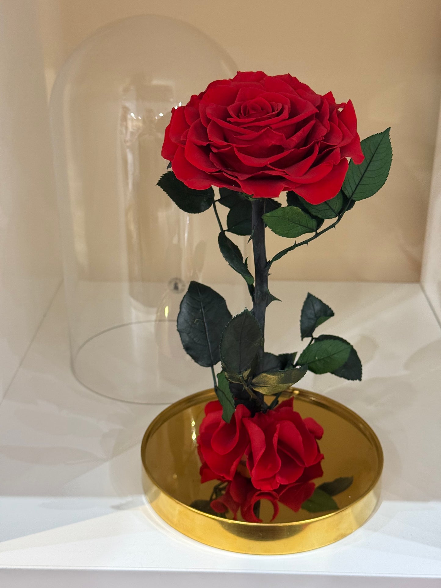 Rose Éternelle Rouge sous Cloche – Cadeau Romantique à Paris