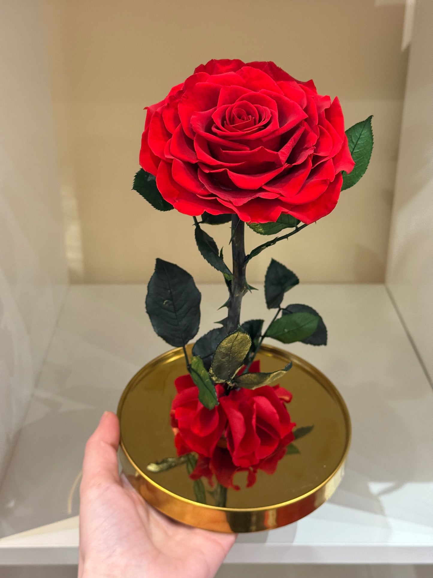 Rose Éternelle Rouge sous Cloche – Cadeau Romantique à Paris