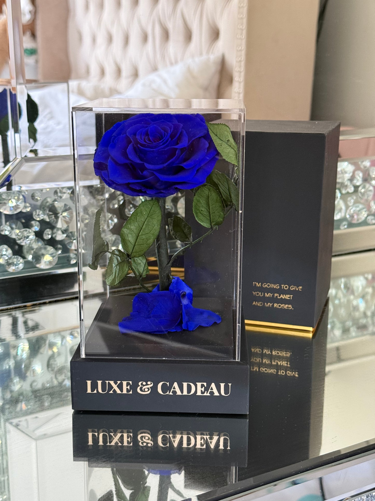 Rose éternelle sous cloche Rouge 12*22cm