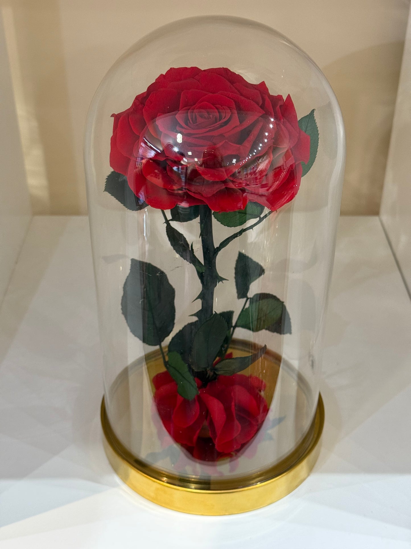 Rose Éternelle Rouge sous Cloche – Cadeau Romantique à Paris