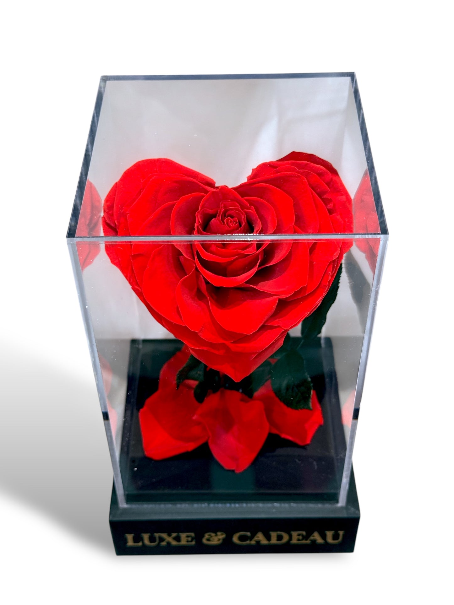 Rose Rouge en Forme de Cœur dans Boîte Cadeau Luxe avec Couvercle Acrylique – Cadeau Éternel de Luxe