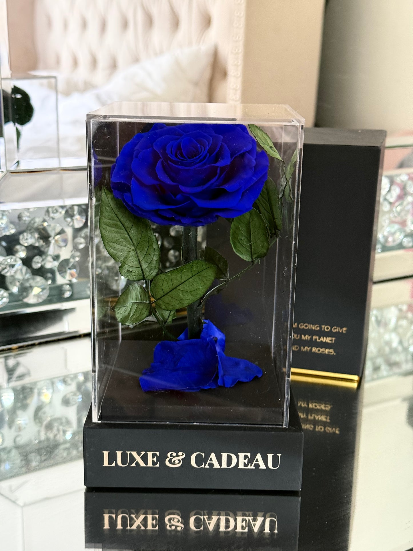 Rose éternelle sous cloche Rouge 12*22cm