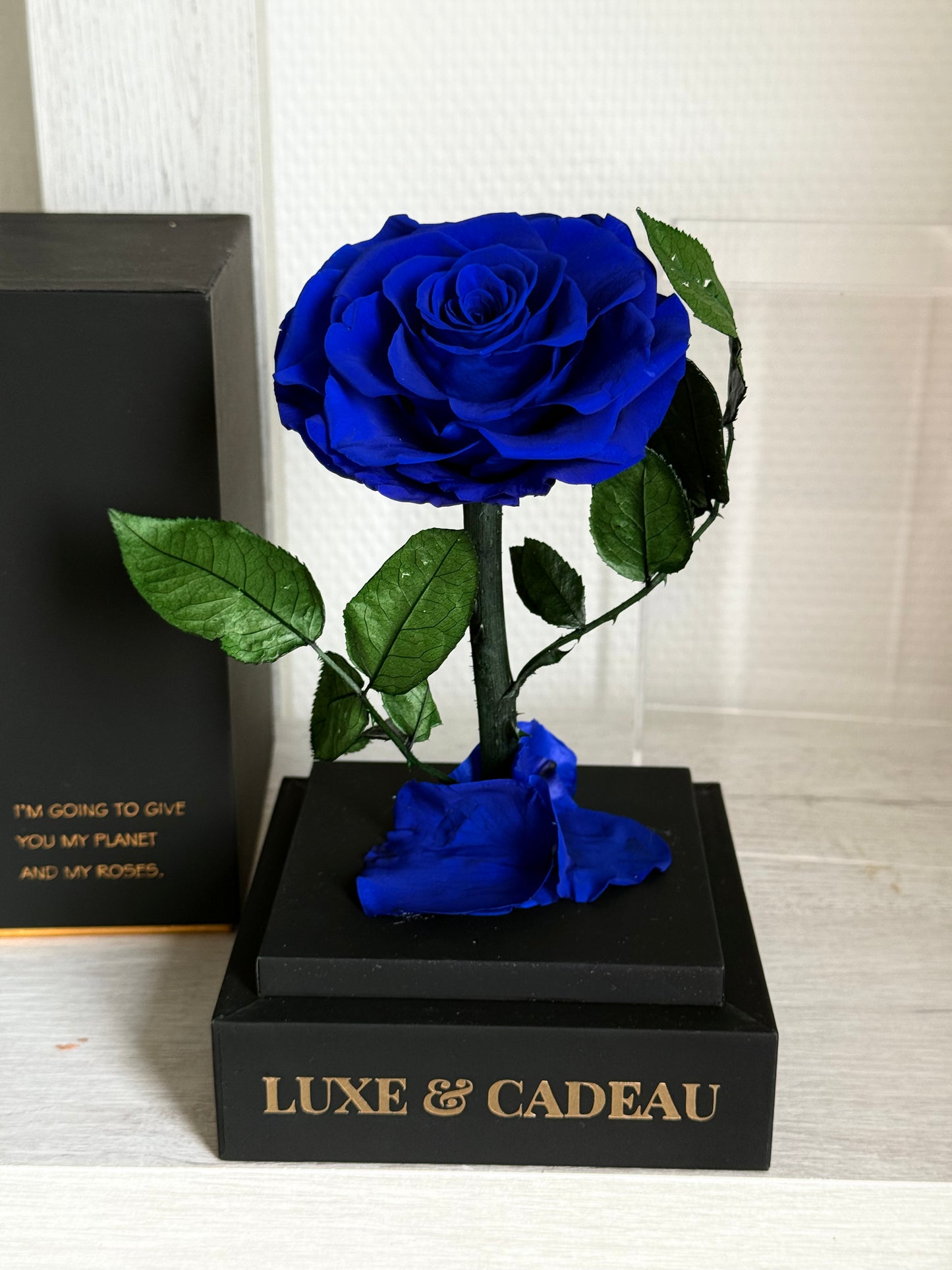 Rose éternelle sous cloche Rouge 12*22cm