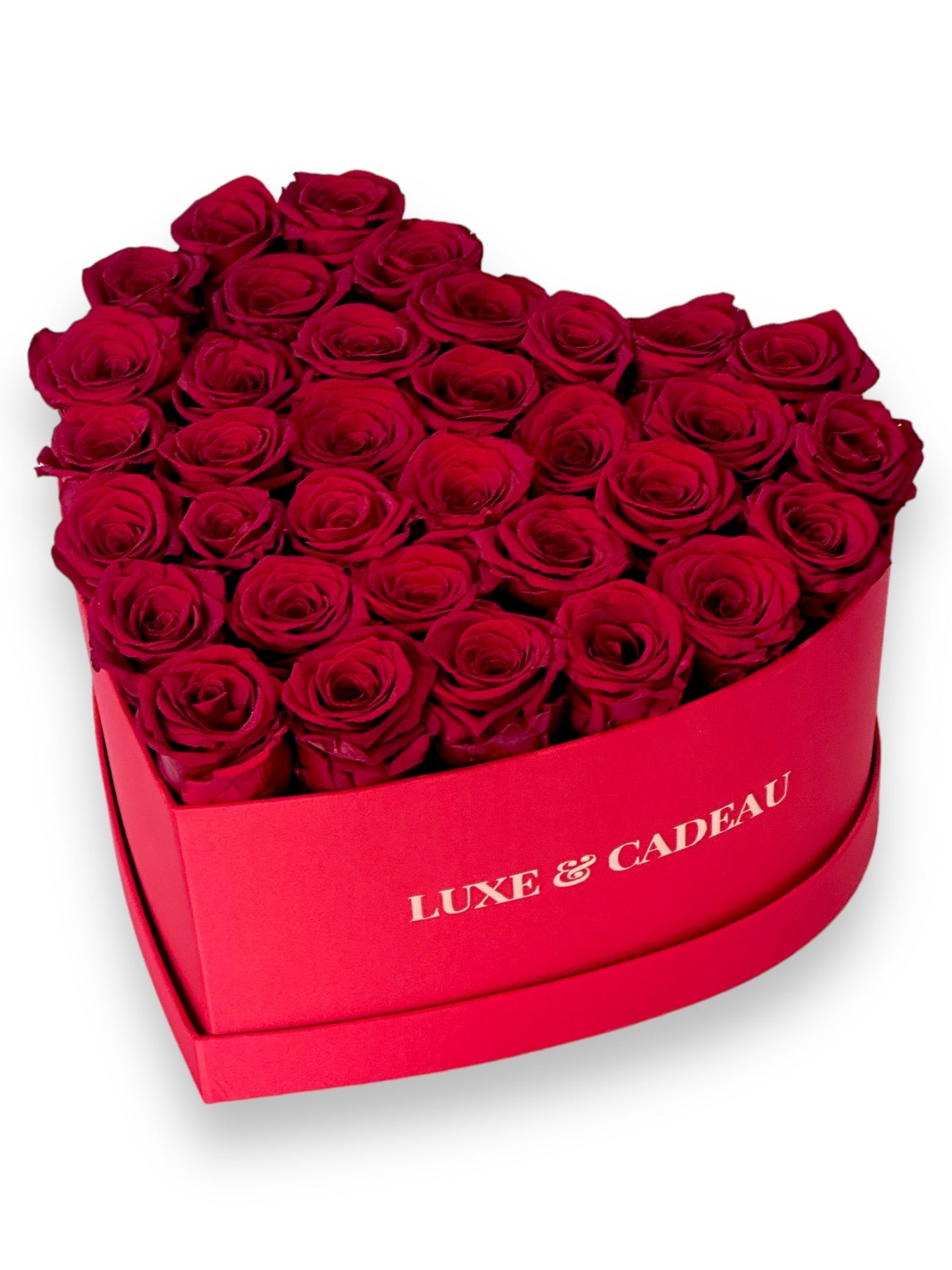 Cœur de roses éternelles stabilisé