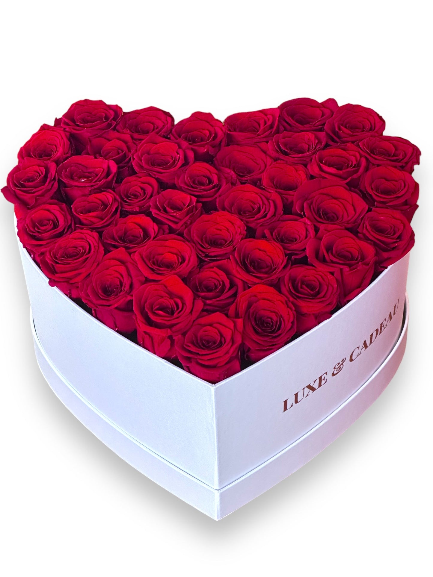 Cœur de roses éternelles stabilisé