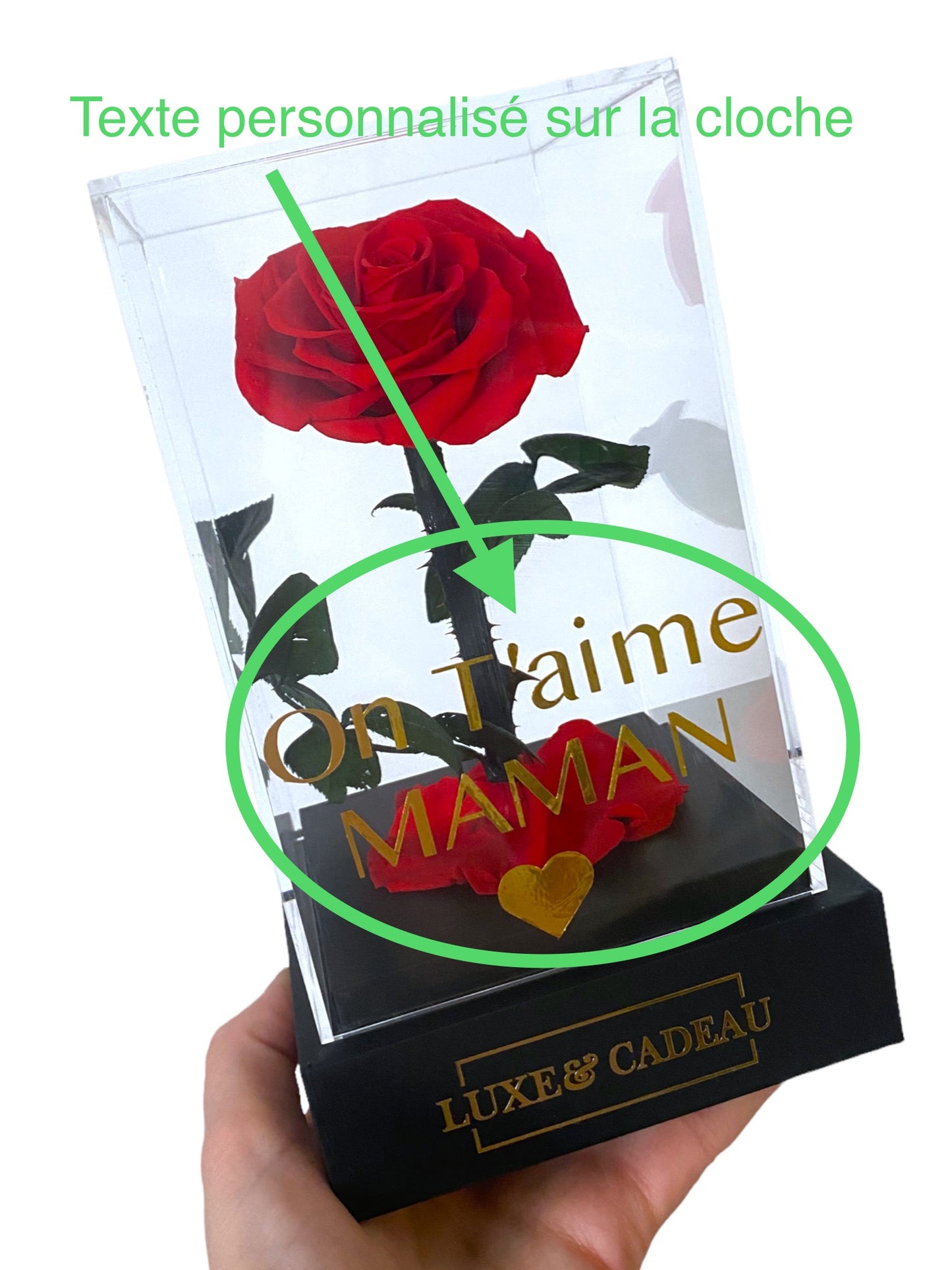 Rose éternelle sous cloche rouge – Le cadeau romantique par excellence