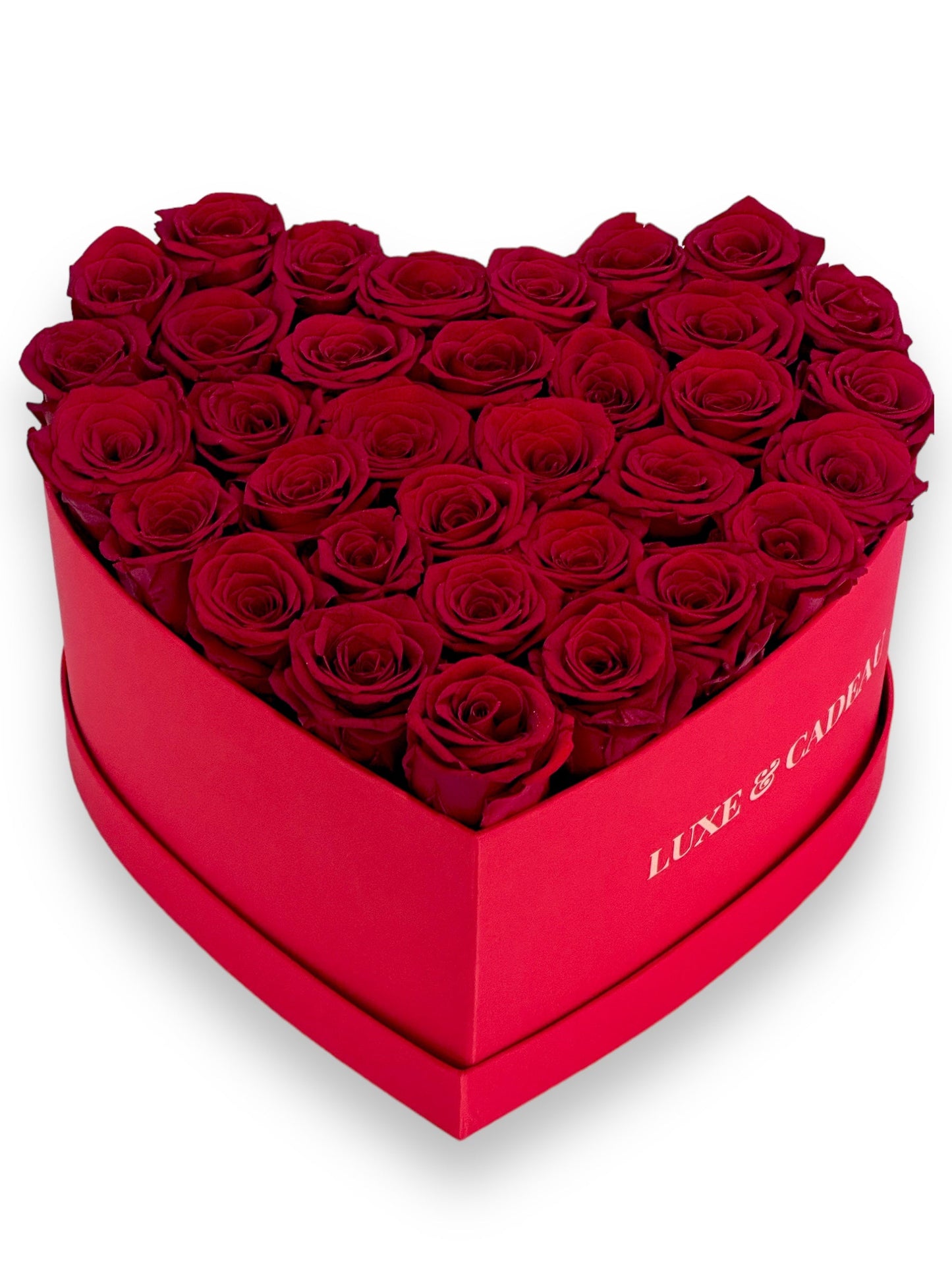 Cœur de roses éternelles stabilisé