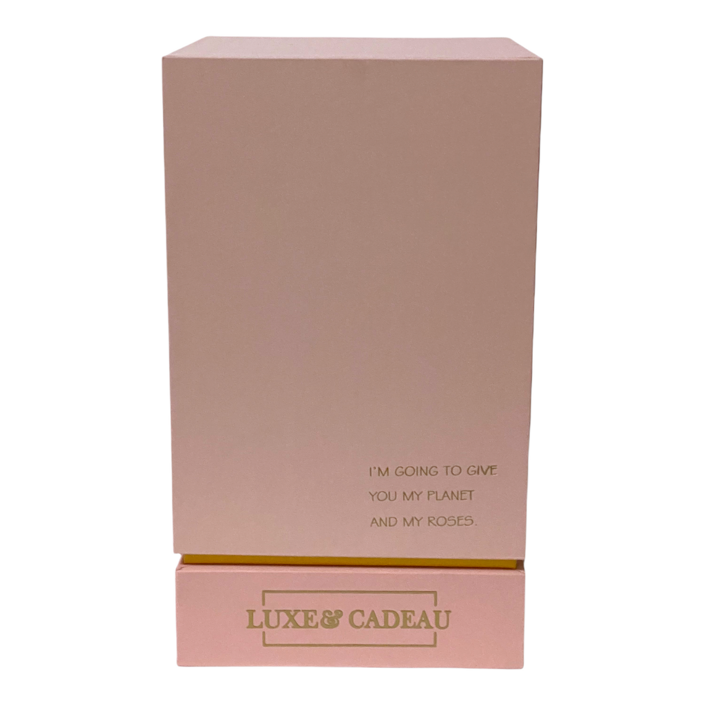 Rose Éternelle Sous Cloche – Élégance et Amour Intemporel (12×22 cm)