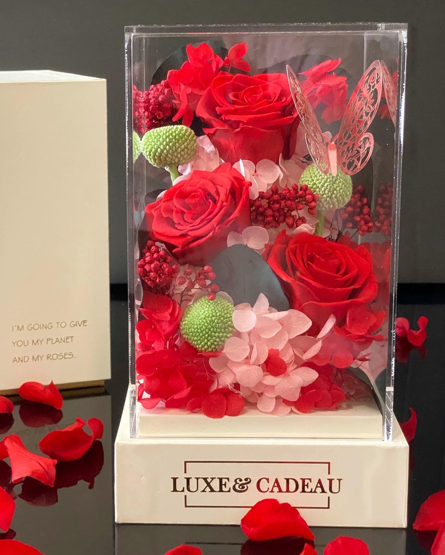 Rose éternelle sous cloche 3 rose + fleurs éternelles