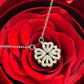 Ours Cadeau avec Bijoux & Rose Éternelle – Ensemble P5