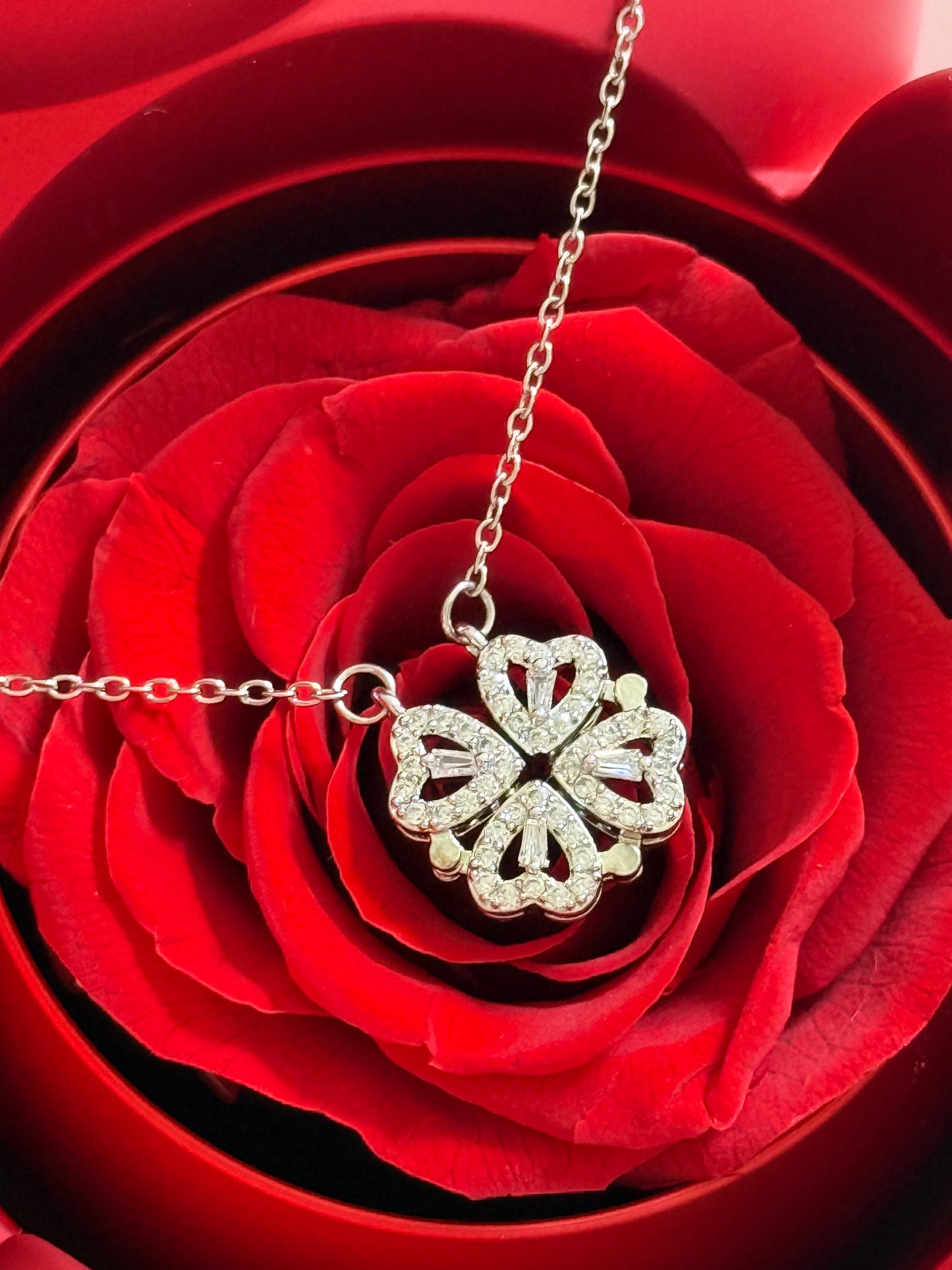 Ours Cadeau avec Bijoux & Rose Éternelle – Ensemble P5