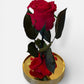 Rose éternelle rouge sous cloche en verre