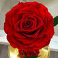 Rose Éternelle Rouge sous Cloche – Cadeau Romantique à Paris