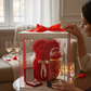 Box Cadeau Romantique – Ours en Roses & Rose Lumineuse