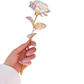 Golden rose 24 k
