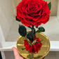 Rose Éternelle Rouge sous Cloche – Cadeau Romantique à Paris