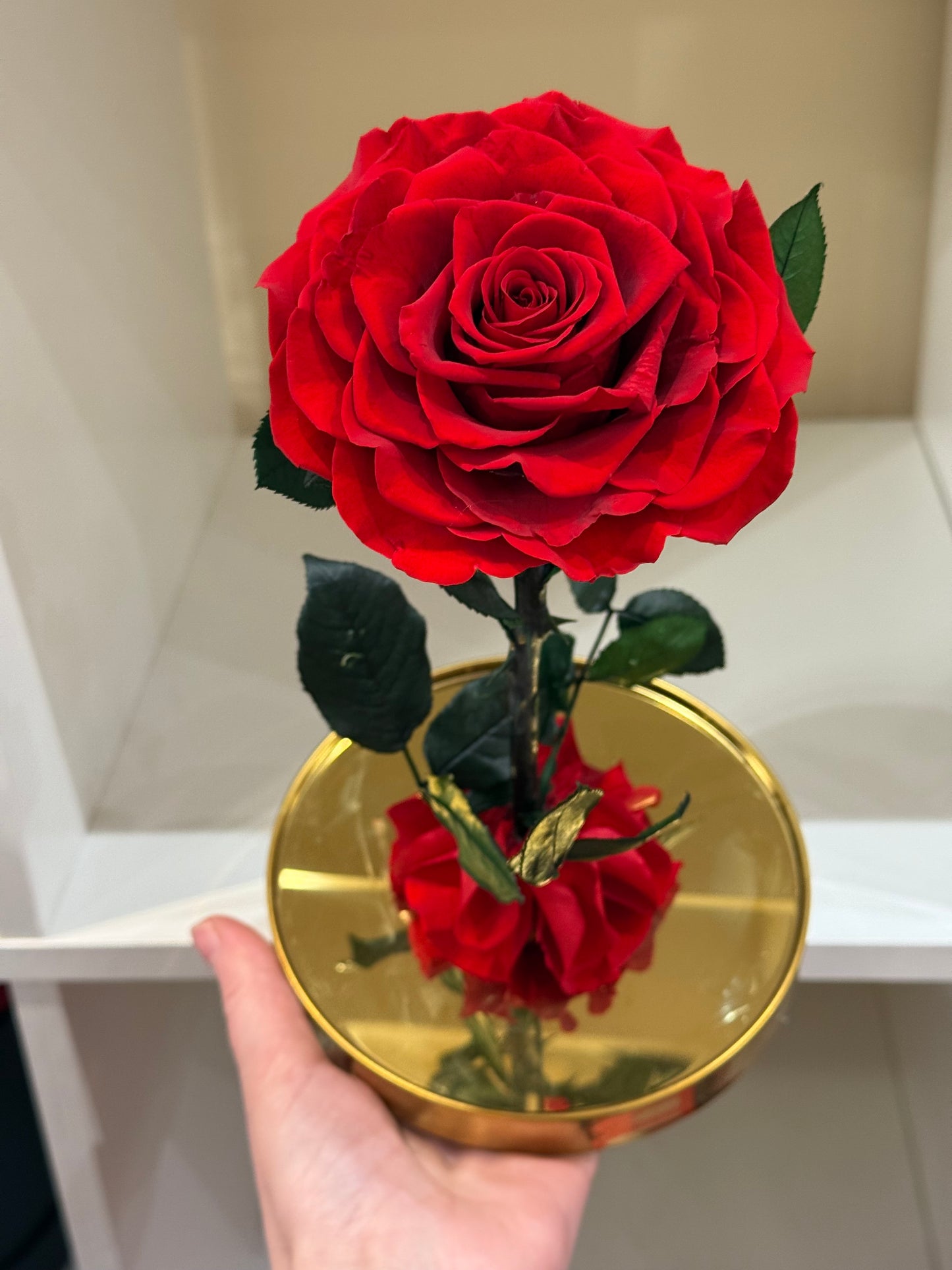 Rose Éternelle Rouge sous Cloche – Cadeau Romantique à Paris