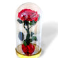 Rose Éternelle Rouge sous Cloche – Cadeau Romantique à Paris