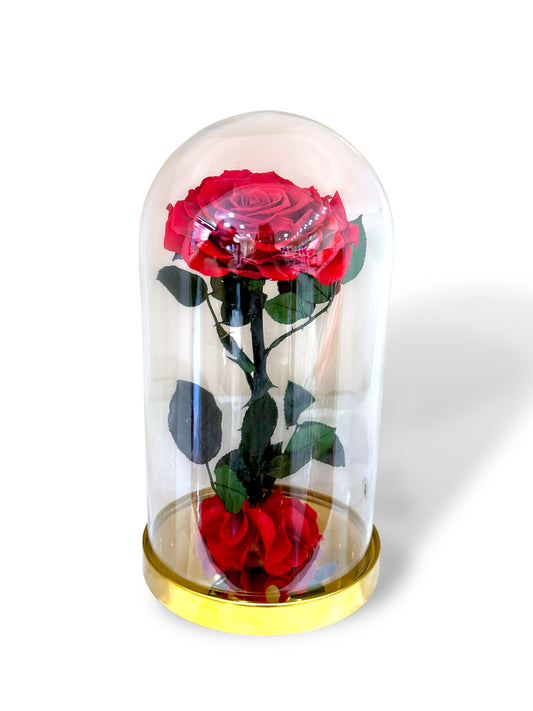 Rose Éternelle Rouge sous Cloche – Cadeau Romantique à Paris