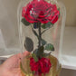 Rose Éternelle Rouge sous Cloche – Cadeau Romantique à Paris