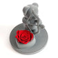 Ourson • Romantique • avec rose stabilisé