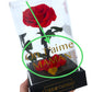 Rose éternelle sous cloche rouge – Le cadeau romantique par excellence
