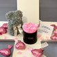 Coffret cadeau