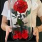 ROSES ÉTERNELLE ROUGE 18*30CM