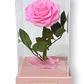 Rose Éternelle Sous Cloche – Élégance et Amour Intemporel (12×22 cm)