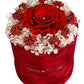 Rose éternelle