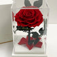 Rose éternelle sous cloche 12*20cm