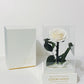 Rose eternelle sous cloche Blanche 12*22cm