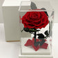 Rose éternelle sous cloche 12*20cm