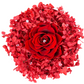 Rose éternelle 100% naturelle