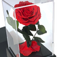 Rose éternelle sous cloche rouge – Le cadeau romantique par excellence