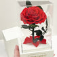 Rose éternelle sous cloche 12*20cm