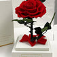 Rose éternelle sous cloche 12*20cm