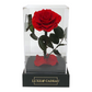 Rose éternelle sous cloche rouge – Le cadeau romantique par excellence