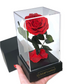 Rose éternelle sous cloche rouge – Le cadeau romantique par excellence